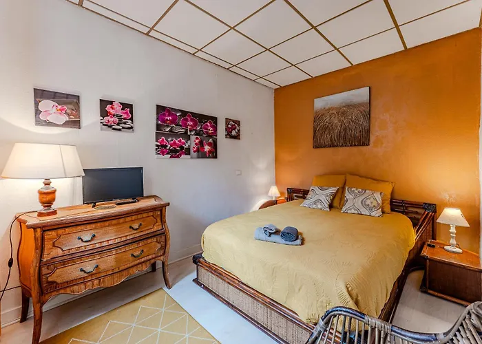 La Palmeraie 300m Plage, Calme Arcachon